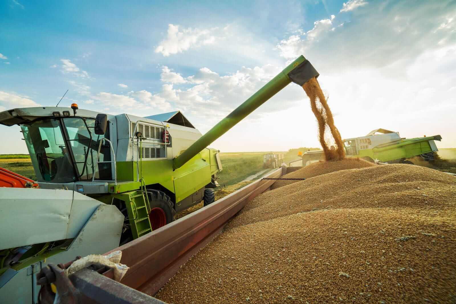 Unloading grain by oticki via Shutterstock